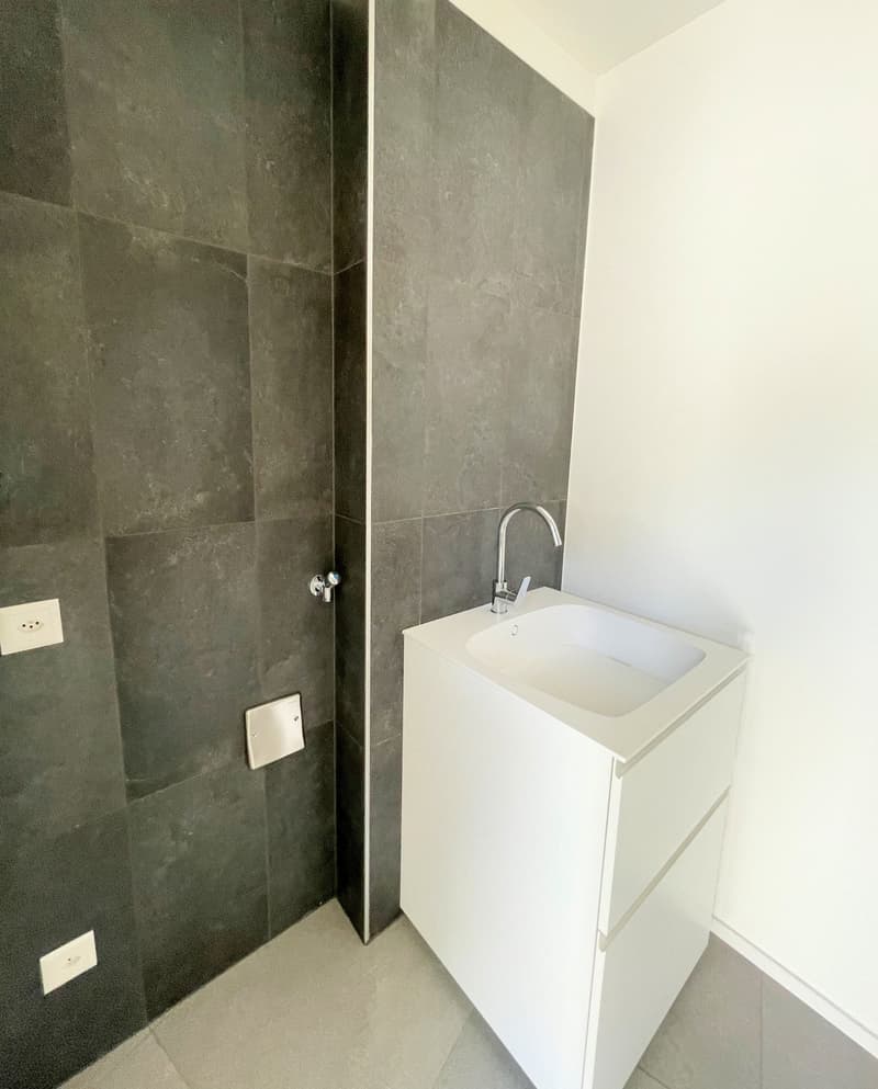 Nouvel appartement au dernier étage dans une résidence élégante (13)