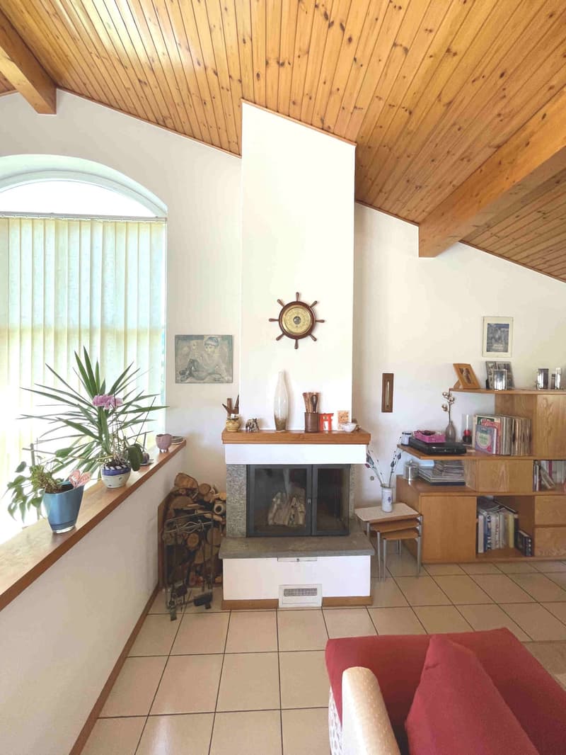 House with large, well-maintained garden in quiet and sunny area (11)