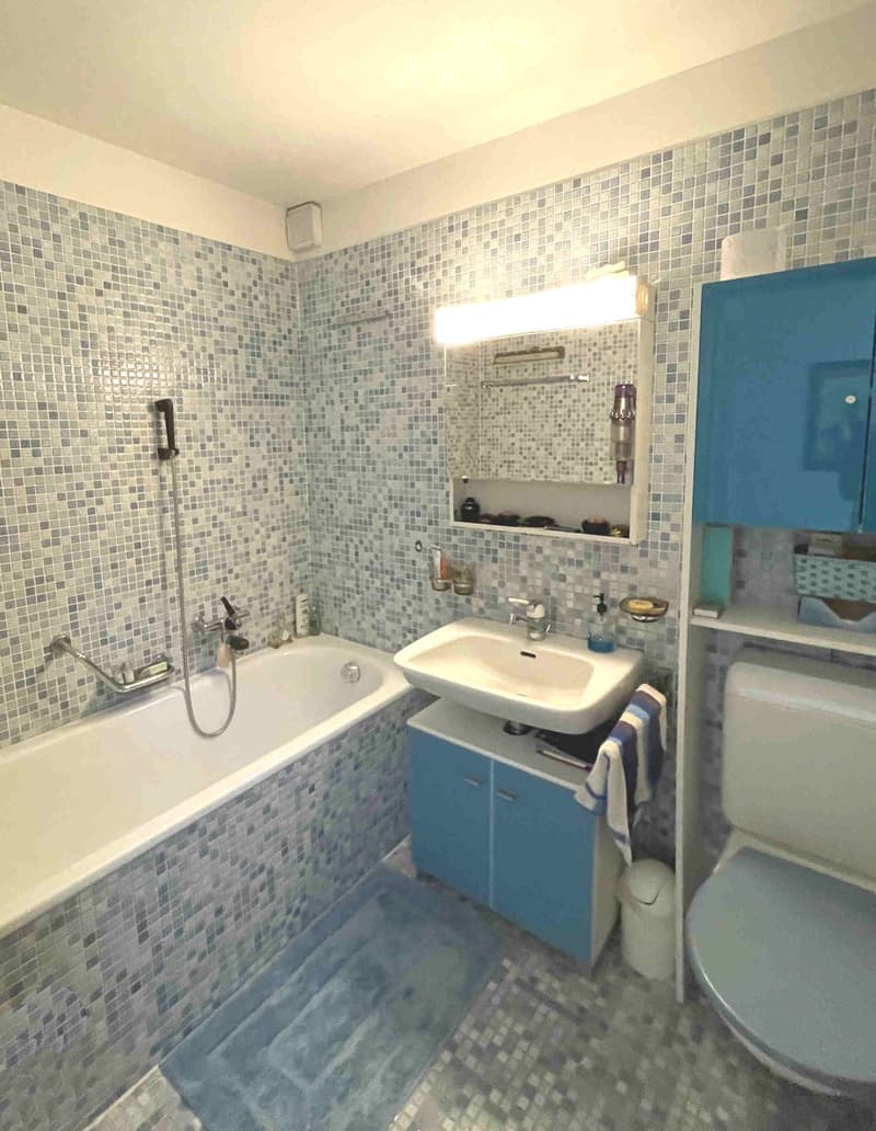 House with large, well-maintained garden in quiet and sunny area (17)