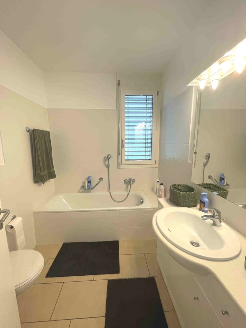 Appartement avec terrasse bien exposée dans un quartier commode et bien desservi (12)
