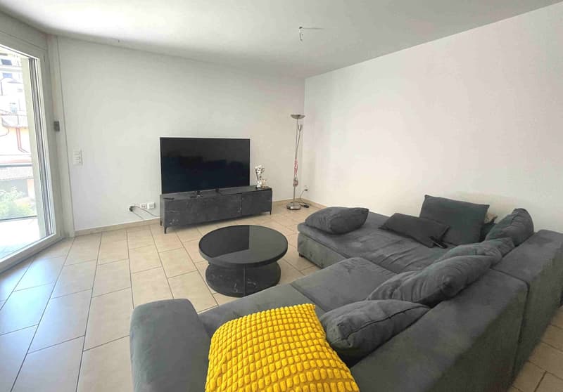 Appartement avec terrasse bien exposée dans un quartier commode et bien desservi (6)