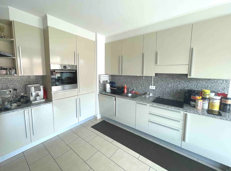 Appartement avec terrasse bien exposée dans un quartier commode et bien desservi (9)