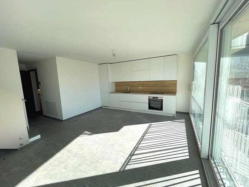 Elegante duplex in zona comoda e tranquilla (4)