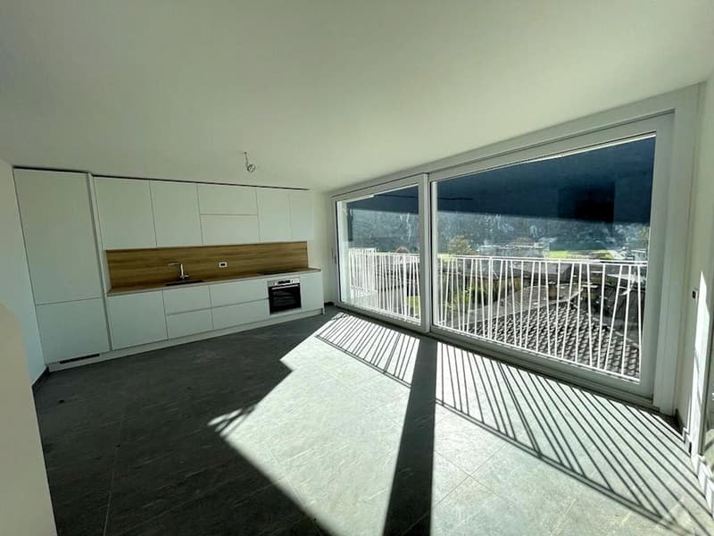 Elegante duplex in zona comoda e tranquilla (3)