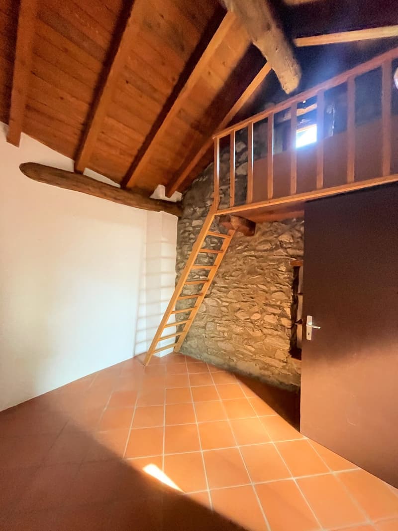 Appartement original dans le noyau (13)