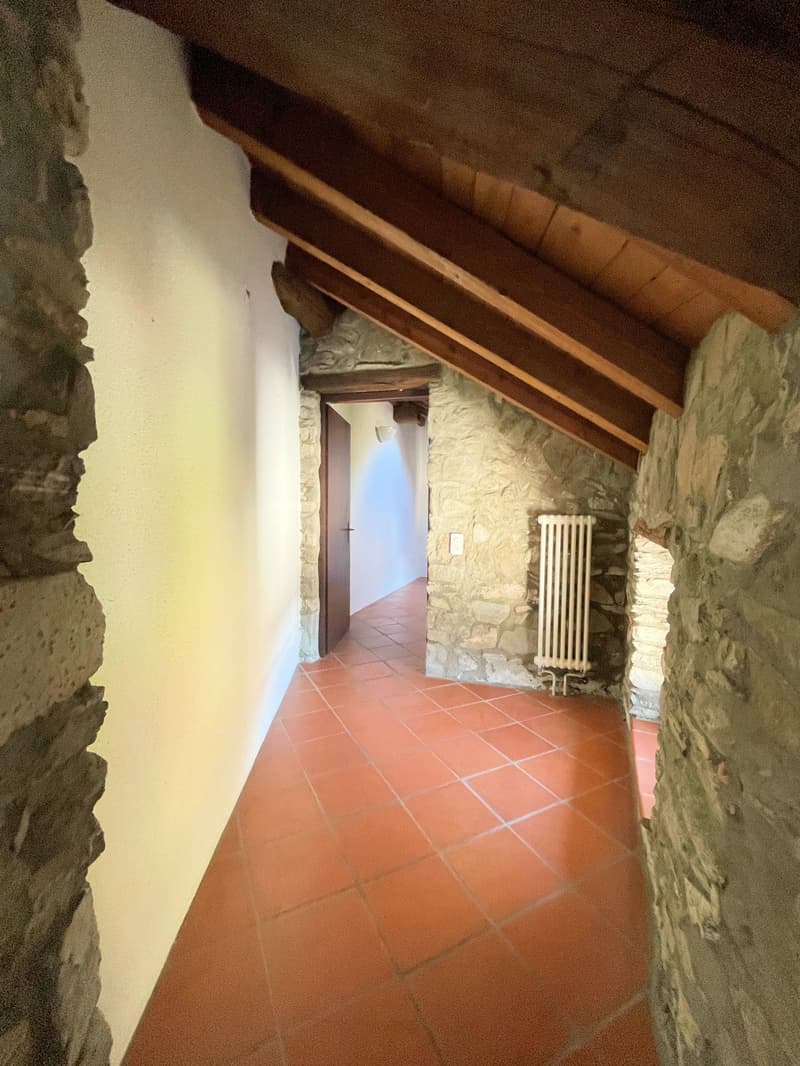 Appartement original dans le noyau (14)