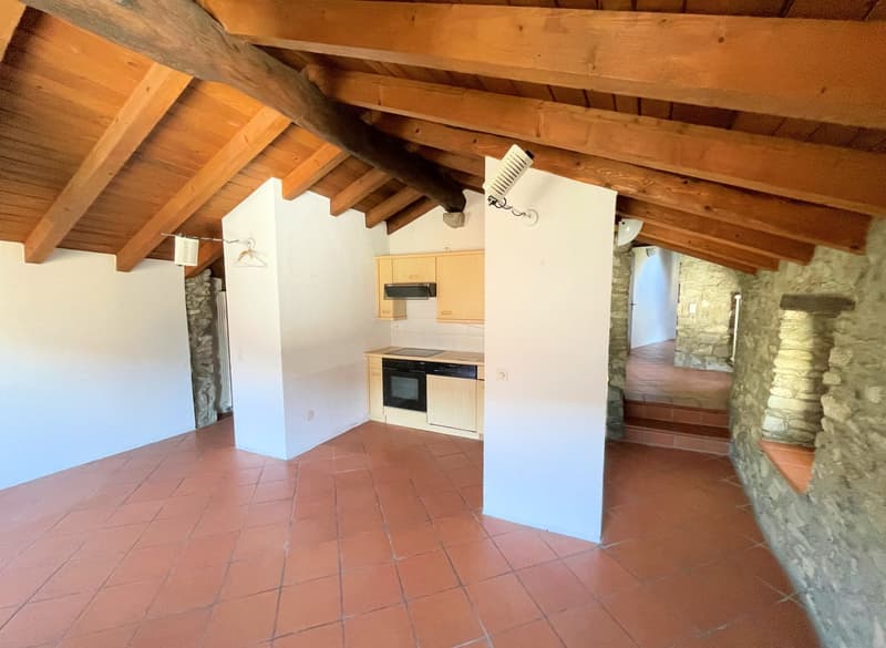 Appartement original dans le noyau (11)