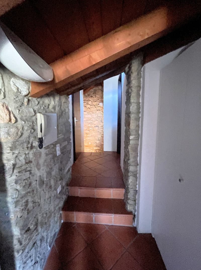 Appartement original dans le noyau (8)