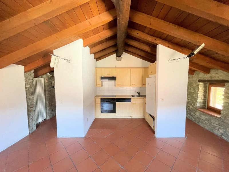 Appartement original dans le noyau (10)