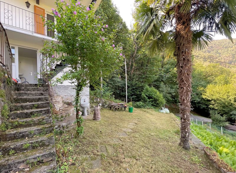 Casa di vacanza con vista panoramica per amanti della tranquillità (18)