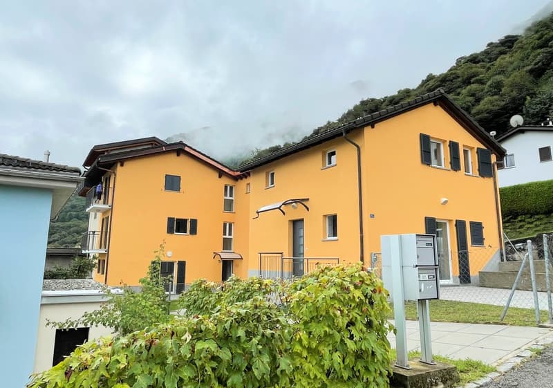 Spaziosa villetta completamente rinnovata a soli 15 minuti da Bellinzona (3)