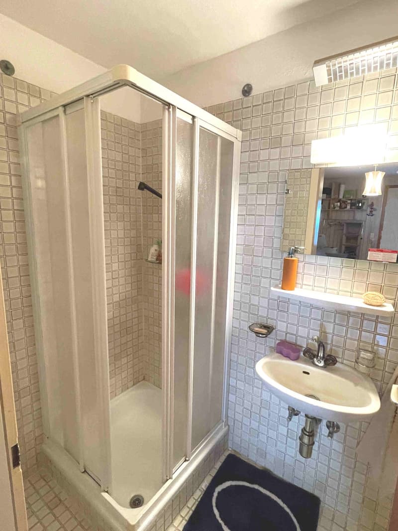 Casa con ampio giardino ben curato in zona tranquilla e soleggiata (18)