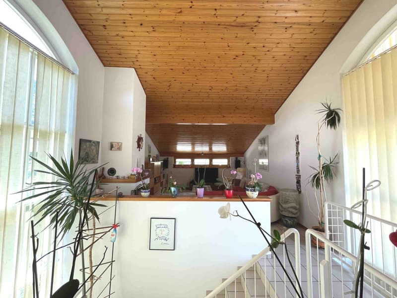 Casa con ampio giardino ben curato in zona tranquilla e soleggiata (8)