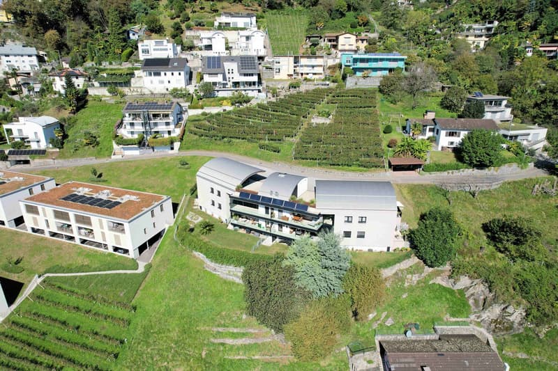 Elegante appartamento in collina con vista panoramica in esclusiva residenza (3)