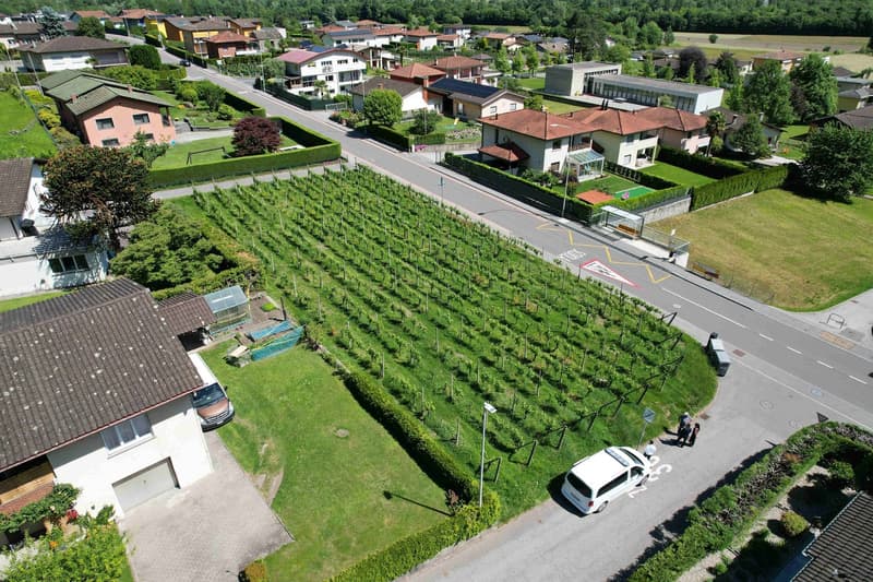 Terreno edificabile in zona comoda ben servita e soleggiata (6)
