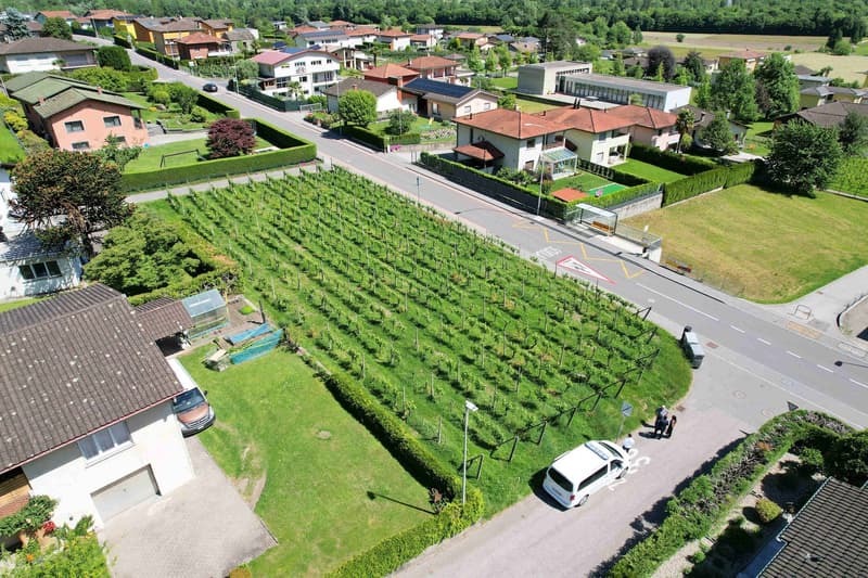 Terreno edificabile in zona comoda ben servita e soleggiata (7)