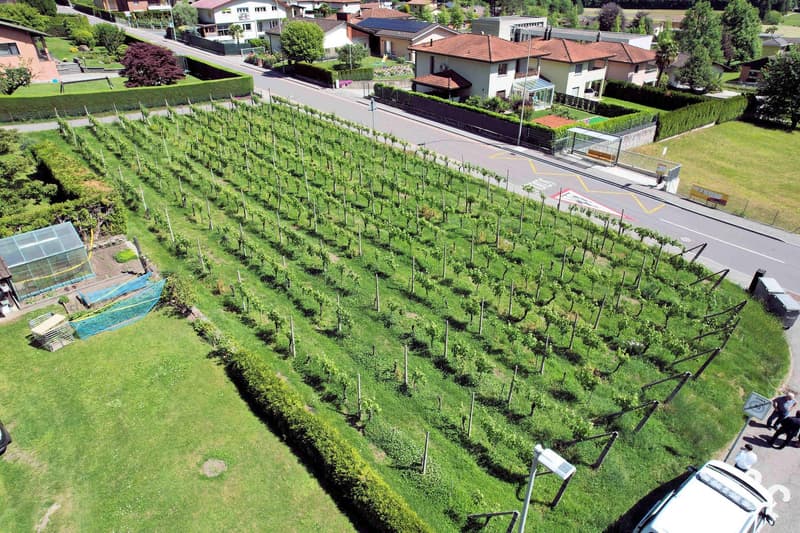 Terreno edificabile in zona comoda ben servita e soleggiata (8)