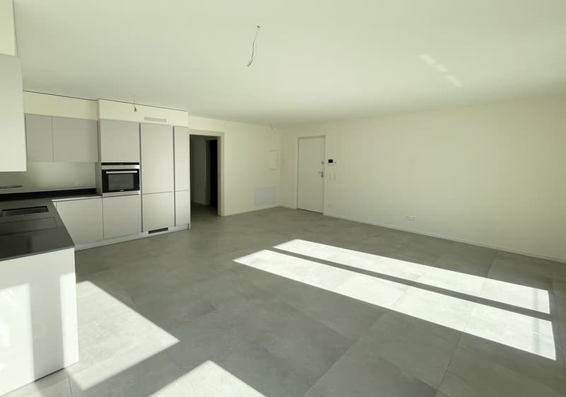 Nuovo appartamento in elegante residenza in zona comoda e tranquilla (6)
