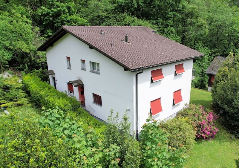 Appartamento rinnovato immerso nel verde e nella natura (4)