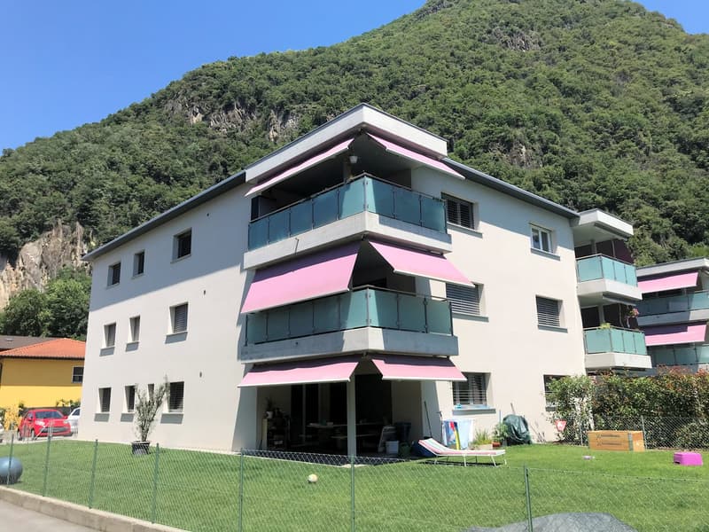 Spazioso appartamento all'ultimo piano (1)