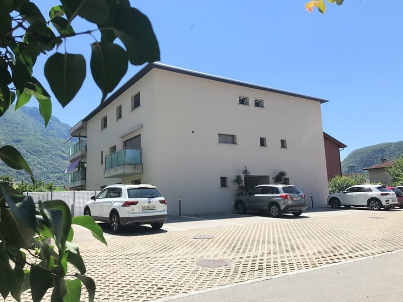 Spazioso appartamento all'ultimo piano (15)