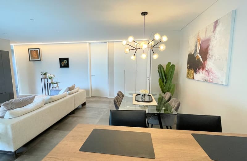 Appartamento con grande terrazza coperta in zona comoda e tranquilla (11)