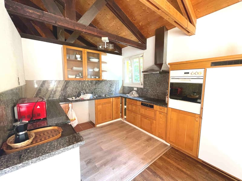 Casa nel verde per amanti della natura (15)