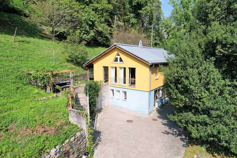 Casa nel verde per amanti della natura (1)