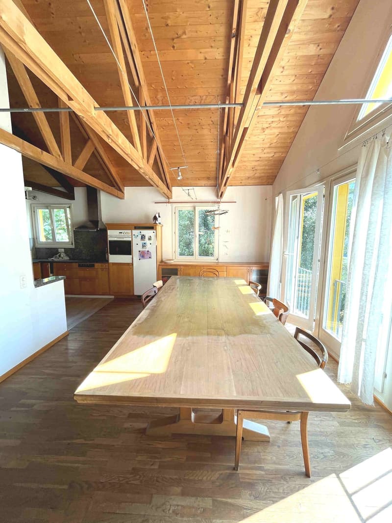 Casa nel verde per amanti della natura (13)