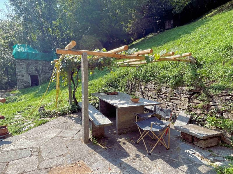 Casa nel verde per amanti della natura (20)
