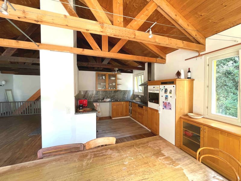 Casa nel verde per amanti della natura (14)
