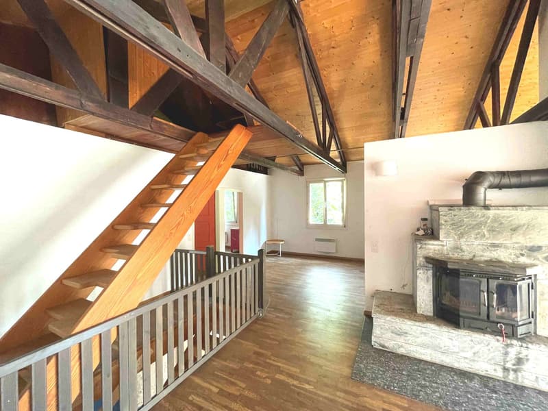 Casa nel verde per amanti della natura (11)