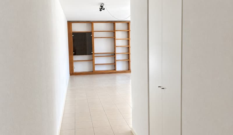 Appartamento luminoso con bella terrazza in zona comoda e strategica (2)