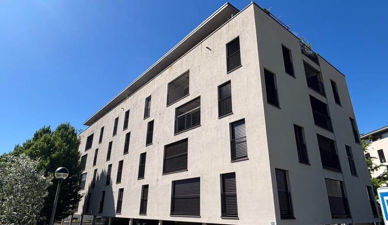 Appartamento luminoso con bella terrazza in zona comoda e strategica (1)