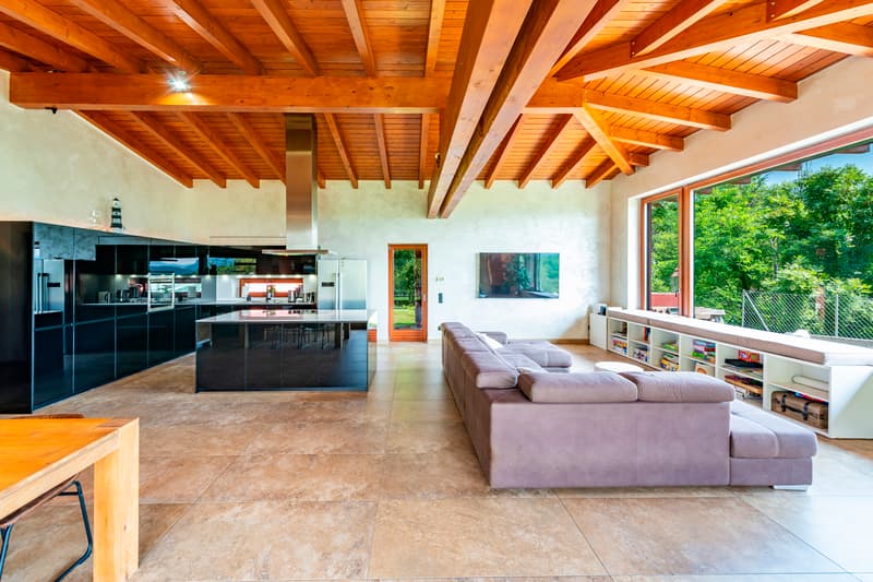 Elegante casa immersa nel verde con appartamento indipendente (6)