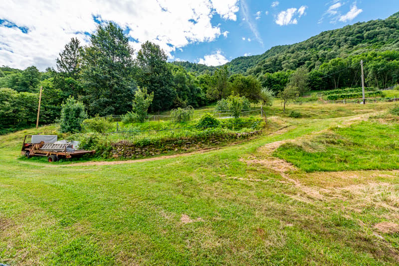 Casa ticinese con 20'000 m di terreno, piscina e rustico (11)