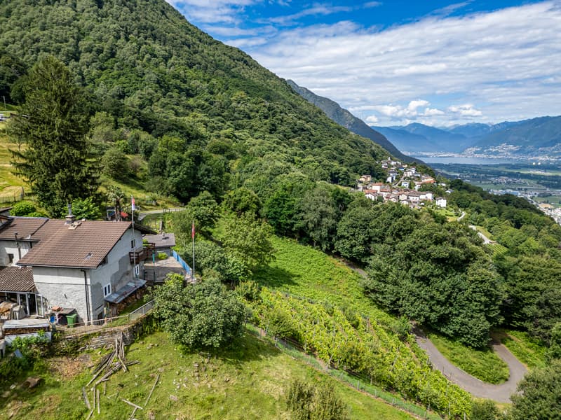 Casa ticinese con 20'000 m di terreno, piscina e rustico (4)