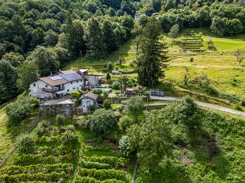 Casa ticinese con 20'000 m di terreno, piscina e rustico (2)
