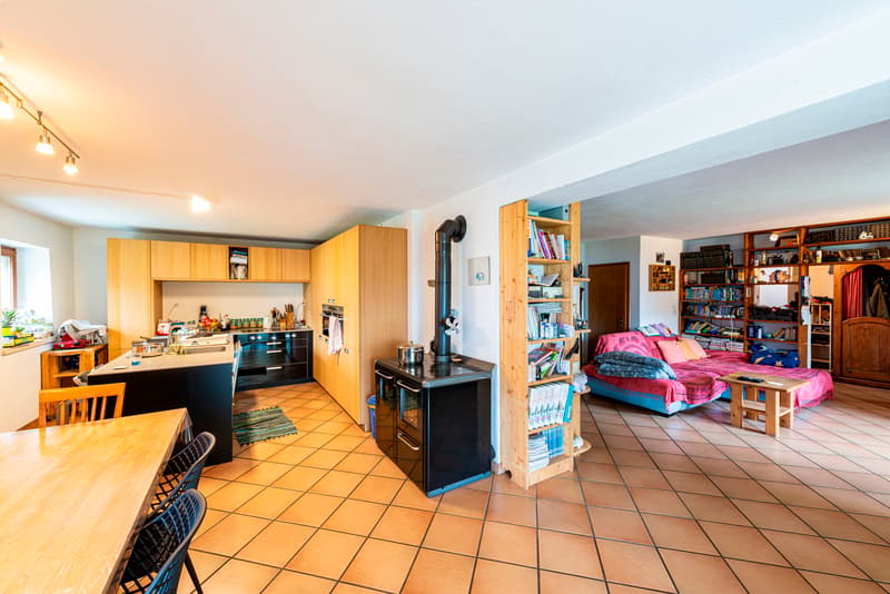 Casa ticinese con 20'000 m di terreno, piscina e rustico (13)