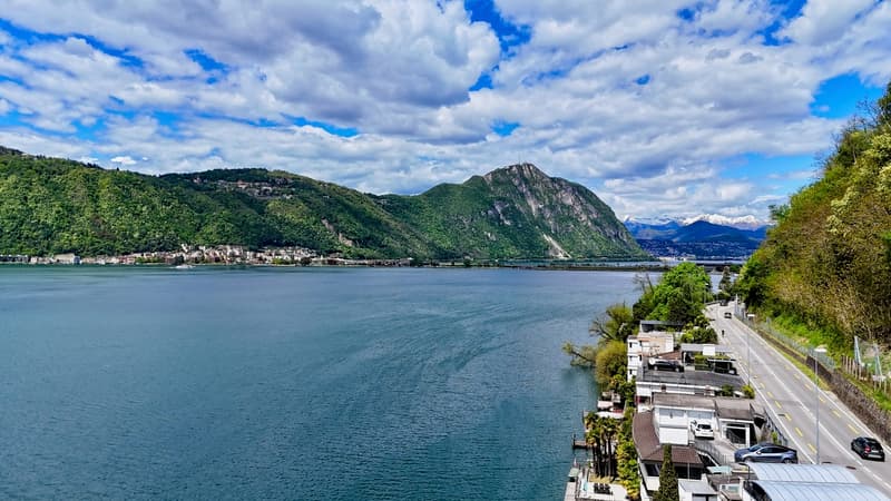 Villa sul lago con darsena privata (2)