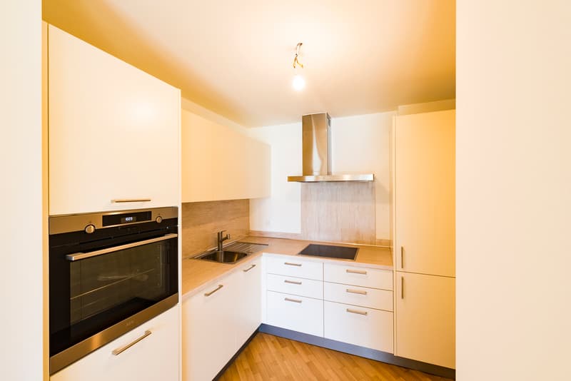 Residenza Bristol: bellissimo duplex 6.5 locali (10)
