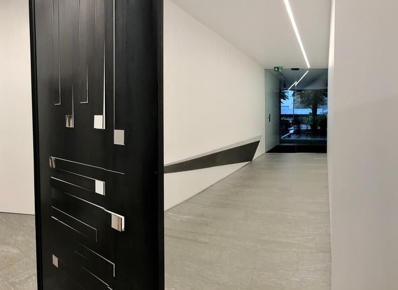 Prestigioso ufficio di rappresentanza su viale alberato a Chiasso (6)