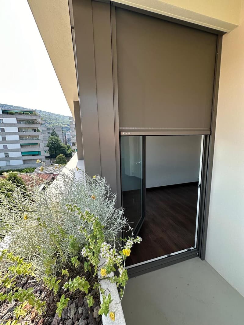 Prestigioso ufficio di rappresentanza su viale alberato a Chiasso (7)