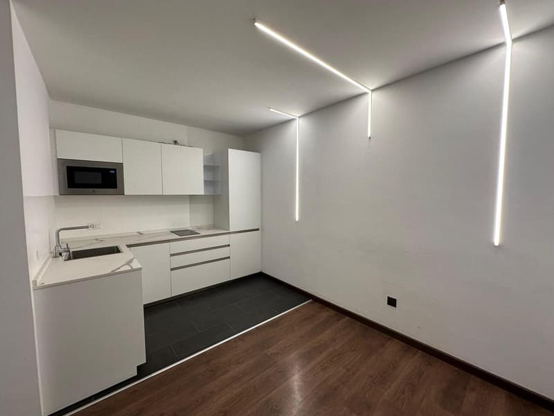 Prestigioso ufficio di rappresentanza su viale alberato a Chiasso (5)