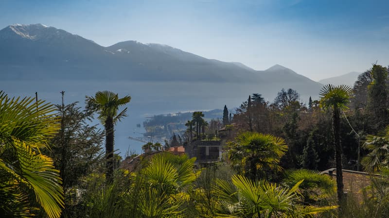Terreno in zona tranquilla con vista lago (9)