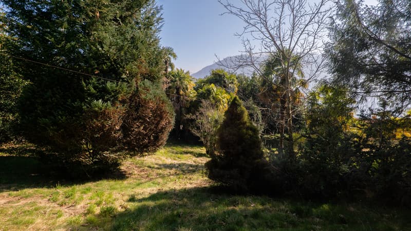 Terreno in zona tranquilla con vista lago (4)