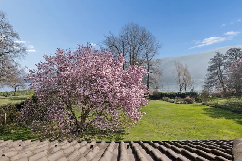 Villa Magnolia: Splendida villa fronte lago a Magliaso (13)