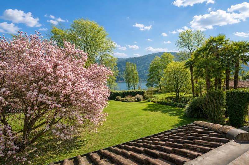 Villa Magnolia: Splendida villa fronte lago a Magliaso (4)