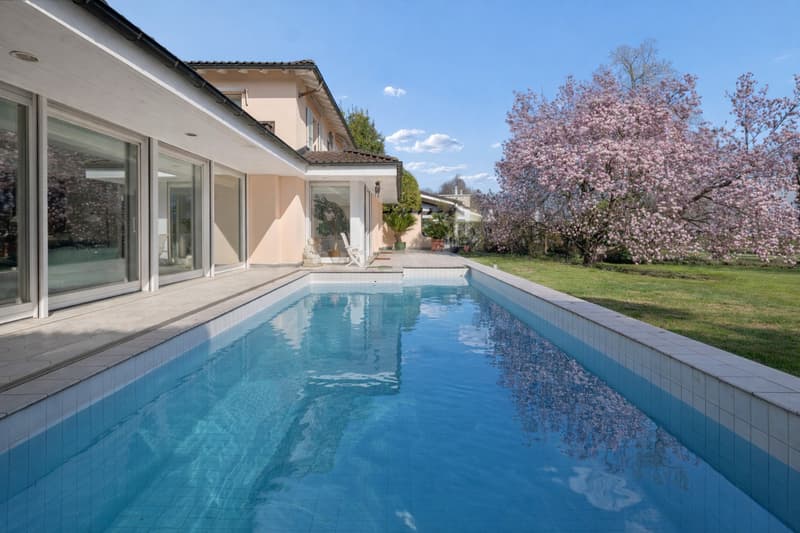Villa Magnolia: Splendida villa fronte lago a Magliaso (5)