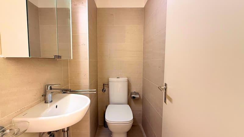 BRIGHT APARTMENT IN VIGANELLO (11)